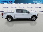 2025 F-150 Thumbnail 5