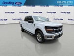 2025 F-150 Thumbnail 6