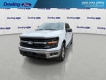 2025 F-150 Thumbnail 7