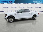 2025 F-150 Thumbnail 8