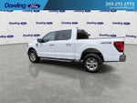 2025 F-150 Thumbnail 9