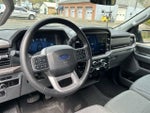 2025 F-150 Thumbnail 14