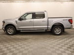 2025 F-150 Thumbnail 8