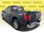 2025 F-150 Thumbnail 11