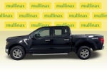 2025 F-150 Thumbnail 12