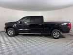 2024 F-150 Thumbnail 4