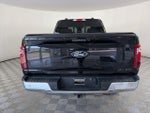 2024 F-150 Thumbnail 6