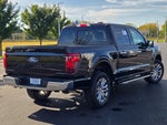 2024 F-150 Thumbnail 11