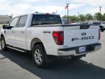 2024 F-150 Thumbnail 6