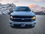 2024 F-150 Thumbnail 4