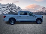 2024 F-150 Thumbnail 6
