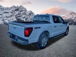2024 F-150 Thumbnail 7