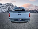 2024 F-150 Thumbnail 8