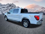 2024 F-150 Thumbnail 10