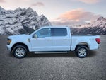 2024 F-150 Thumbnail 11