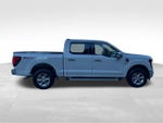 2024 F-150 Thumbnail 6
