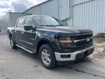 2024 F-150 Thumbnail 3