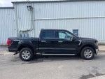 2024 F-150 Thumbnail 4