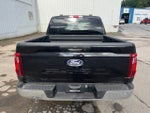 2024 F-150 Thumbnail 6