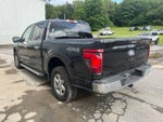 2024 F-150 Thumbnail 7