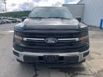 2024 F-150 Thumbnail 10