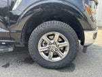 2024 F-150 Thumbnail 19