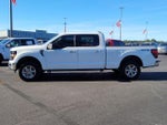 2024 F-150 Thumbnail 4