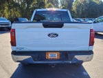 2024 F-150 Thumbnail 10