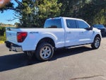 2024 F-150 Thumbnail 12