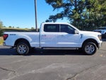 2024 F-150 Thumbnail 13