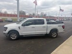 2024 F-150 Thumbnail 4