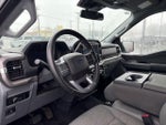 2024 F-150 Thumbnail 12