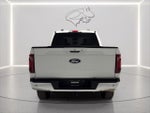 2024 F-150 Thumbnail 4