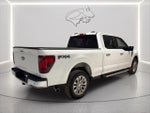 2024 F-150 Thumbnail 5