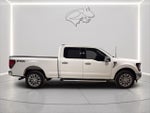 2024 F-150 Thumbnail 6