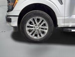 2024 F-150 Thumbnail 27