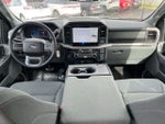 2025 F-150 Thumbnail 8