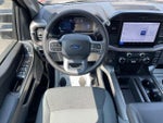 2025 F-150 Thumbnail 6