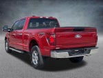2025 F-150 Thumbnail 21