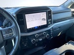 2025 F-150 Thumbnail 6