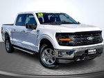 2025 F-150 Thumbnail 12