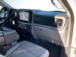 2025 F-150 Thumbnail 17
