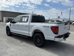 2025 F-150 Thumbnail 7