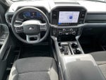 2025 F-150 Thumbnail 14