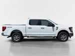 2025 F-150 Thumbnail 2