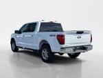 2025 F-150 Thumbnail 5