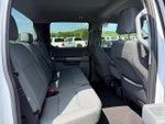 2025 F-150 Thumbnail 10