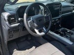 2026 F-150 Thumbnail 10