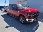 2024 F-150 Thumbnail 2