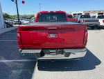 2024 F-150 Thumbnail 7